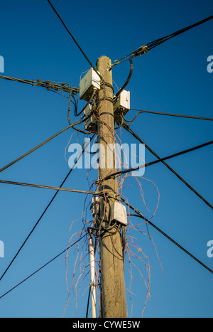 Mehrere Kabel an EINEM Hochpol Stockfoto