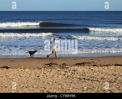 Mann wirft Ball für Hund bei einem Spaziergang entlang Seaburn Strand Nordsee in Hintergrund-Nord-Ost England UK Stockfoto