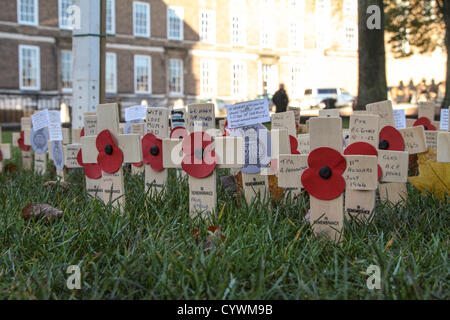 Bristol, UK. Sonntag, 11. November 2012. Erinnerung-Mohn wurden unter dem Rasen am College Green, Bristol gelegt. Alamy Live-Nachrichten Stockfoto