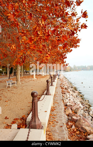 Schöne Promenade am Plattensee im Herbst, Ungarn Stockfoto