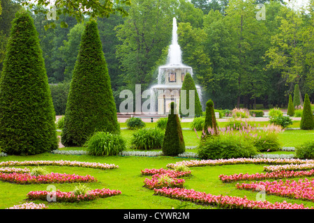 Peterhof-Palast (Russisches Versailles). Römischer Brunnen im östlichen Teil des unteren Parks im Regen. Stockfoto