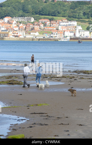 Menschen zu Fuß ihre Hunde auf Scarborough Beach North Yorkshire England uk Stockfoto