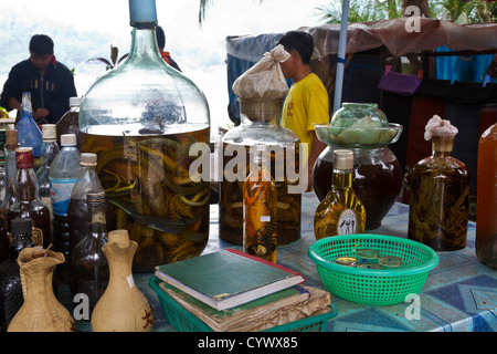 Eingelegte Schlangen, Eidechsen, Tausendfüßler, Skorpione und Pflanzen in der Regel im Reis-Whisky. Stockfoto