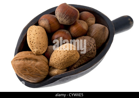 Haselnüsse, Mandeln, Pekannüsse, Walnüsse und brasilianischen Nüssen auf einer rustikalen hölzernen Schaufel isoliert auf weiss Stockfoto