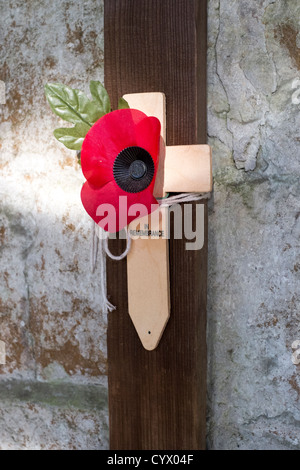 Roter Mohn, angeschlossen an ein Holzkreuz am Volkstrauertag UK Stockfoto