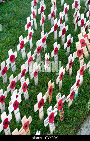 Kleine hölzerne Kreuze mit Mohnblumen befestigt Erinnerung an Soldaten in der Tätigkeit getötet Stockfoto