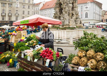 Kohl-Platz, Brünn, Mähren, Tschechien Stockfoto