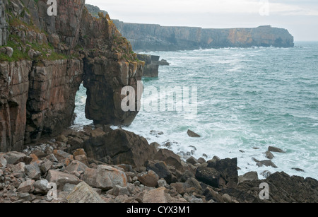 Wales, Pembrokeshire Coast, Blick vom St. Govan fahren Sie in Richtung Stackpole Head Stockfoto