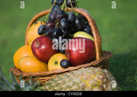 Nahaufnahme von Früchten im Korb Stockfoto