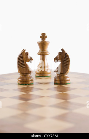 Nahaufnahme der Schach-Ritter von Angesicht zu Angesicht ein König auf einem Schachbrett Stockfoto