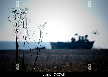 Angelboote/Fischerboote am Strand frühen Herbstmorgen Stockfoto