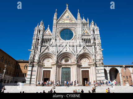 Der Duomo (Kathedrale) im Herzen von Siena in der Toskana in Italien. Stockfoto