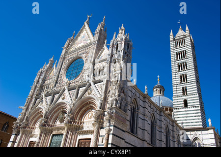 Der Duomo (Kathedrale) im Herzen von Siena in der Toskana in Italien. Stockfoto