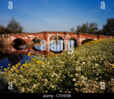 Alten Sandstein-Straßenbrücke über den Fluss Avon in der Nähe von Dorf Eckington mit Masse von Kuh Petersilie und andere Wildblumen auf Stockfoto