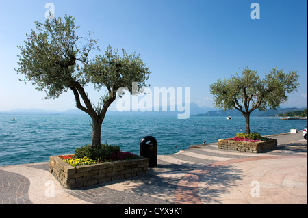 Der Gardasee in Italien von der Stadt Lazise gesehen. Stockfoto