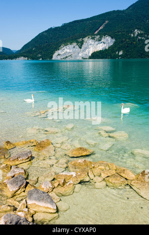 Gelben Felsen am Ufer des Wolfgangsee in Österreich Stockfoto