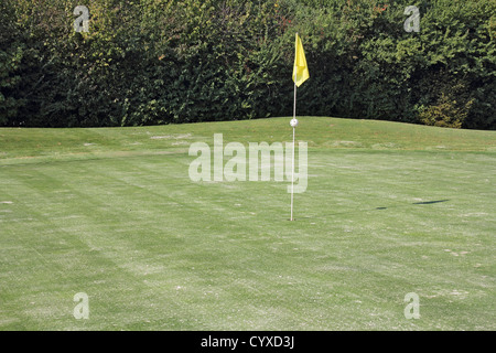 Loch-Golfplatz auf dem grünen Rasen, markiert eine gelbe Flagge Stockfoto