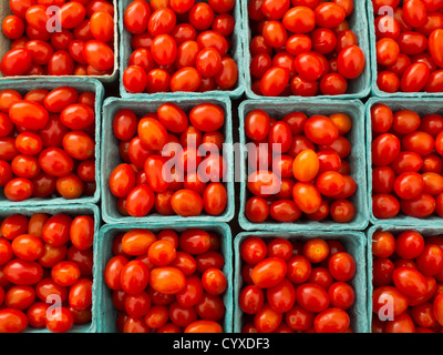 Traube Tomaten Stockfoto