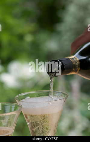 Gießen Sekt im Freien. Stockfoto