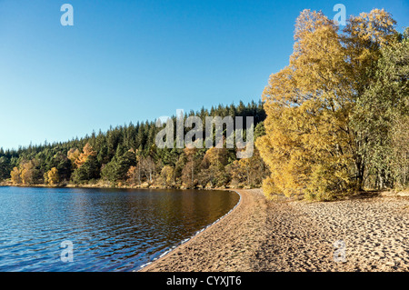 Loch Morlich und Strand in der Cairngorms-Region von Schottland an einem ruhigen und sonnigen Herbsttag Stockfoto