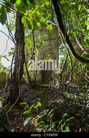 Ruinen der Kapelle Park Hill, Woolaston Woodside, Severnside, Gloucestershire, England UK Stockfoto