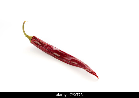 Getrocknete rote Chilischote auf weißem Hintergrund Stockfoto