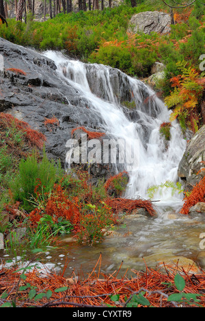 Wasserfall im Restonicat Wasserfall im Restonicat haute Corse 2 b Frankreich Stockfoto