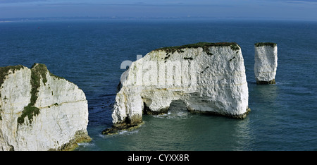 Erodiert Kreide Felsnadeln Old Harry Rocks an Handfast Punkt auf der Isle of Purbeck, Jurassic Coast, Dorset, Südengland, UK Stockfoto