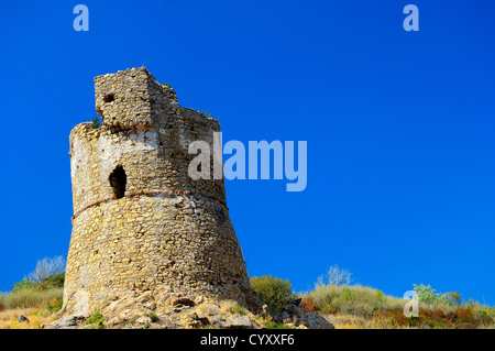 Tour Génoise de Sagone haute Corse Frankreich 2 b Stockfoto