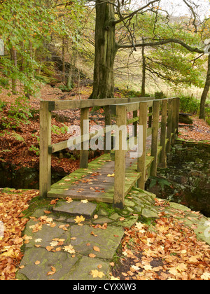 Herbst im Peak District mit Spaziergang Brücke über den Fluss Dane, Nationalpark, Cheshire UK Stockfoto