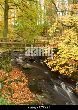 Herbst im Peak District mit Spaziergang Brücke über den Fluss Dane, Nationalpark, Cheshire UK Stockfoto