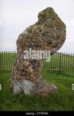 Der King-Stein stehend Stein, Bestandteil der Rollright Stones, in der Nähe von Chipping Norton, Oxfordshire, Vereinigtes Königreich. Stockfoto