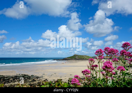 Porthmeor Beach, St. Ives, Cornwall UK.  Bunte rosa Baldrian Pflanzen. Stockfoto