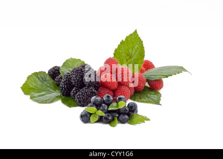 Frischen Sommerbeeren Stockfoto