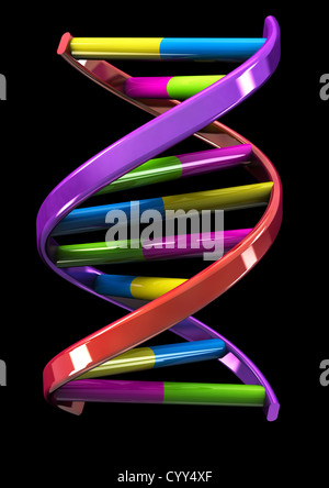 DNA-Doppelhelix-Modell auf schwarzem Hintergrund - 3D Rendern - Konzept Bild Stockfoto