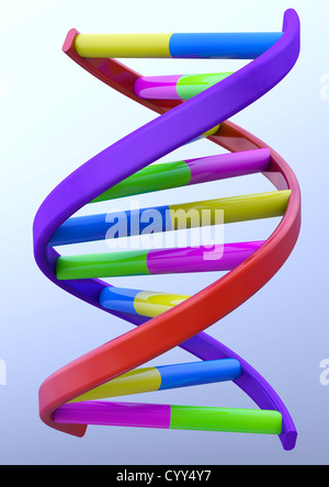 DNA-Doppelhelix-Modell auf hellblauem Hintergrund - 3D Rendern - Konzept Bild Stockfoto