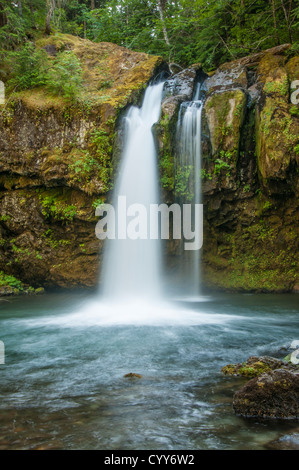 Iron Creek Falls, Gifford Pinchot National Forest, Washington. Stockfoto