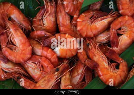 Garnelen zum Verkauf am Fischmarkt Stockfoto