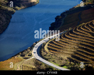 Weinreben auf künstlichen Terrassen auf dem Fluss Douro Valley in der Nähe von Foz Coa, Nord Portugal, Europa Stockfoto