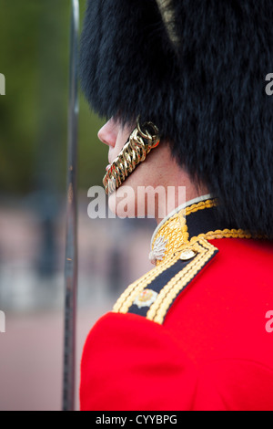 Mitglied der Schotten Wachablösung vor dem Buckingham Palace, London, England, UK Stockfoto