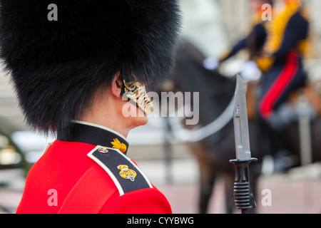 Mitglied der Schotten Wachablösung vor dem Buckingham Palace, London, England, UK Stockfoto