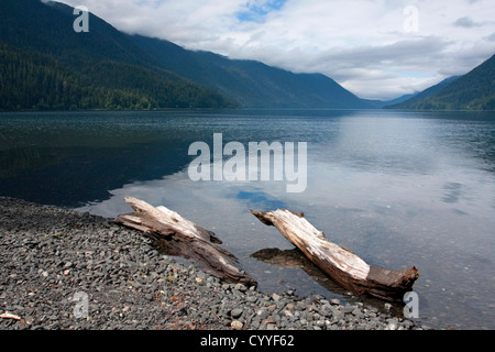 Ausblick vom Strand des Lake Crescent, Olympic Nationalpark, Clallam County, Washington. USA im Juni Stockfoto