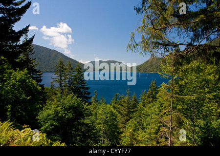 Malerische Aussicht durch Bäume des Lake Crescent, Olympic Nationalpark, Clallam County, Washington. USA im Juli Stockfoto