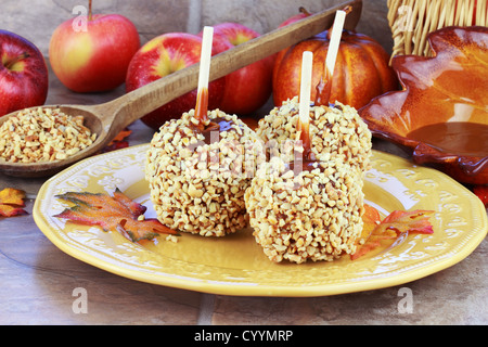 Candy Äpfel mit Karamell-Sauce und einen frischen Zutaten im Hintergrund. Stockfoto