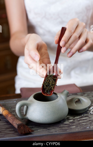 Junge Frau setzen Tee Blätter in Teekanne Stockfoto
