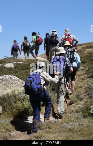 Wanderern in den australischen Alpen. Kosciuszko-Nationalpark, New South Wales. Stockfoto