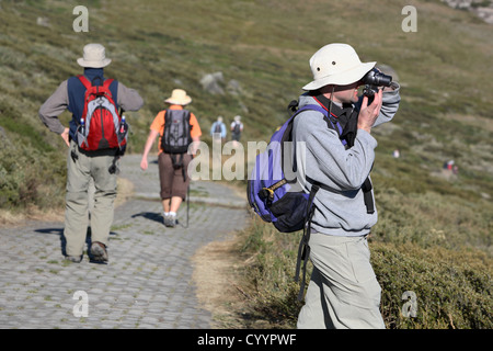 Wanderern in den australischen Alpen. Kosciuszko-Nationalpark, New South Wales. Stockfoto