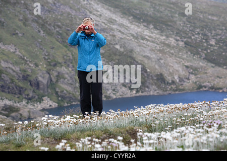 Buschwanderer in den australischen Alpen. Kosciuszko-Nationalpark, New South Wales. Stockfoto