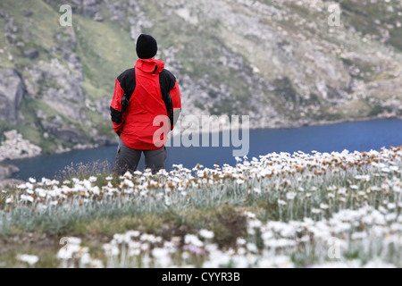 Buschwanderer in den australischen Alpen. Kosciuszko-Nationalpark, New South Wales. Stockfoto