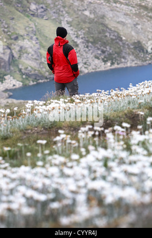 Buschwanderer in den australischen Alpen. Kosciuszko-Nationalpark, New South Wales. Stockfoto